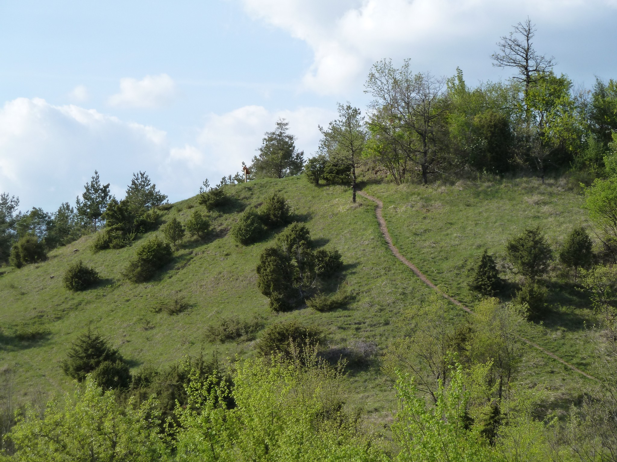 #24 Poursuivre une politique d’acquisition et de sauvegarde d’espaces clefs de biodiversité forestière