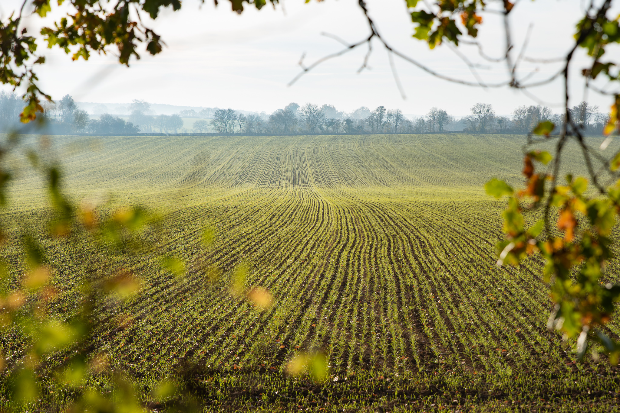 #11 Développer les filières de la transition écologique en s’appuyant sur les atouts du territoire (bois, eau, agriculture…)